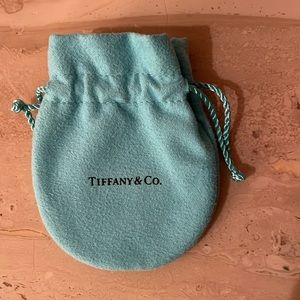 Tiffany & Co Suede Jewelry pouch